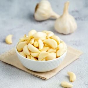 Garlic