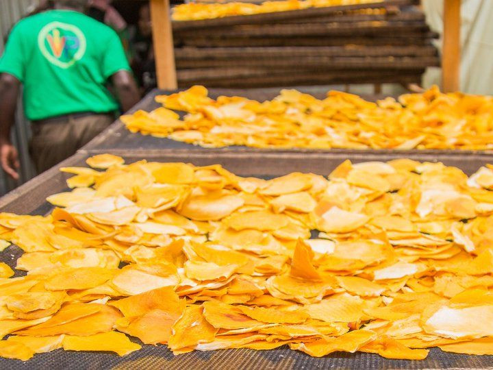 Dried Mango for Sale | Premium Export-Grade Fruit from Kenya