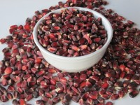Red Corn / Red Maize | Premium Grade for Food and Feed