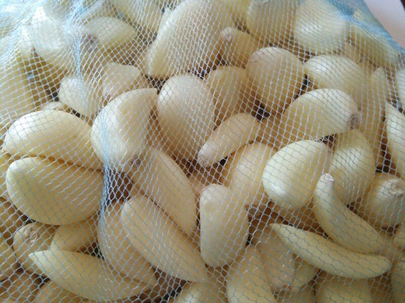 Garlic Cloves in Brine for Sale | Preserved Garlic Export from Kenya