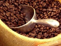Premium Arabica Coffee Beans | Direct Exports from Origin
