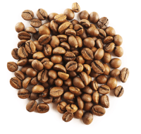 High-Quality Kenyan Arabica Coffee Beans for Export – Bulk Supply