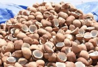 Dried Coconut for Sale | Premium Grade Coconut Products Exported from Kenya