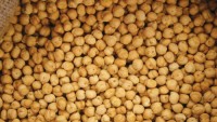 Export Quality Chickpeas | Kabuli & Desi | Bulk Wholesale Supply