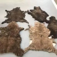 Premium Kenyan Raw Goat Skins – Bulk Export | High-Quality & Salted
