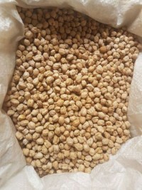 Premium Kabuli Chickpeas (Garbanzo Beans) | Bulk Export Quality