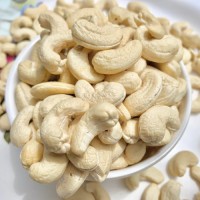 Raw and Roasted Cashew Nuts for Sale from Kenya - Wholesale Supply