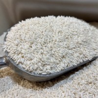 High-Quality Glutinous Rice – Sticky Rice for Culinary & Industrial Use | Bulk Supply