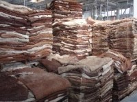 Dry Salted Cow Skins for Sale | Export-Quality Hides from Kenya