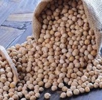 Export Quality Chickpeas | Kabuli & Desi | Bulk Wholesale Supply