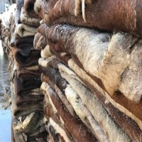 Dry Salted Cow Skins for Sale | Export-Quality Hides from Kenya