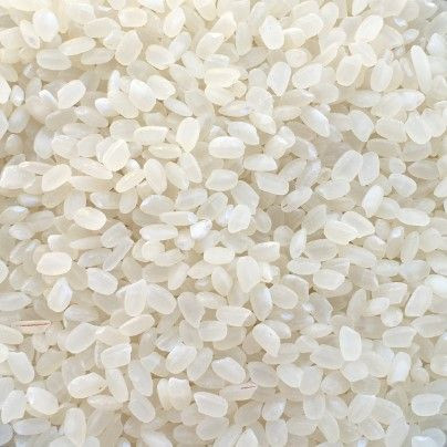 Premium Japonica Rice - Short Grain | Bulk Export Supply
