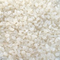 Premium Japonica Rice - Short Grain | Bulk Export Supply