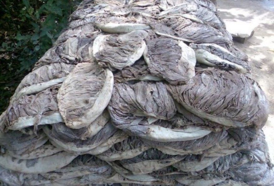 Dried Omasum for Sale | High-Quality Cleaned Cow Stomach from Kenya