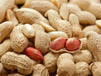 High-Quality Kenyan Peanuts / Groundnuts - Raw and Roasted | Bulk Export Available