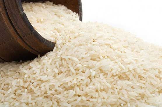 Premium Japonica Rice - Short Grain | Bulk Export Supply