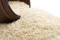Premium Japonica Rice - Short Grain | Bulk Export Supply