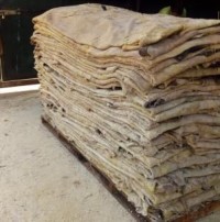 Dry Salted Cow Skins for Sale | Export-Quality Hides from Kenya