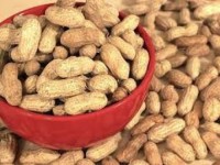 High-Quality Kenyan Peanuts / Groundnuts - Raw and Roasted | Bulk Export Available