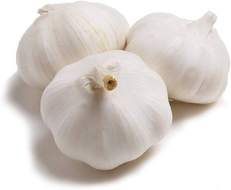 Normal White Garlic for Sale | Fresh Export Quality from Kenya