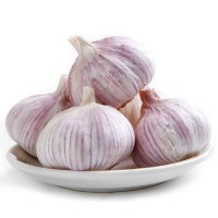 White Red Chinese Garlic | Fresh Export Quality Garlic Bulbs