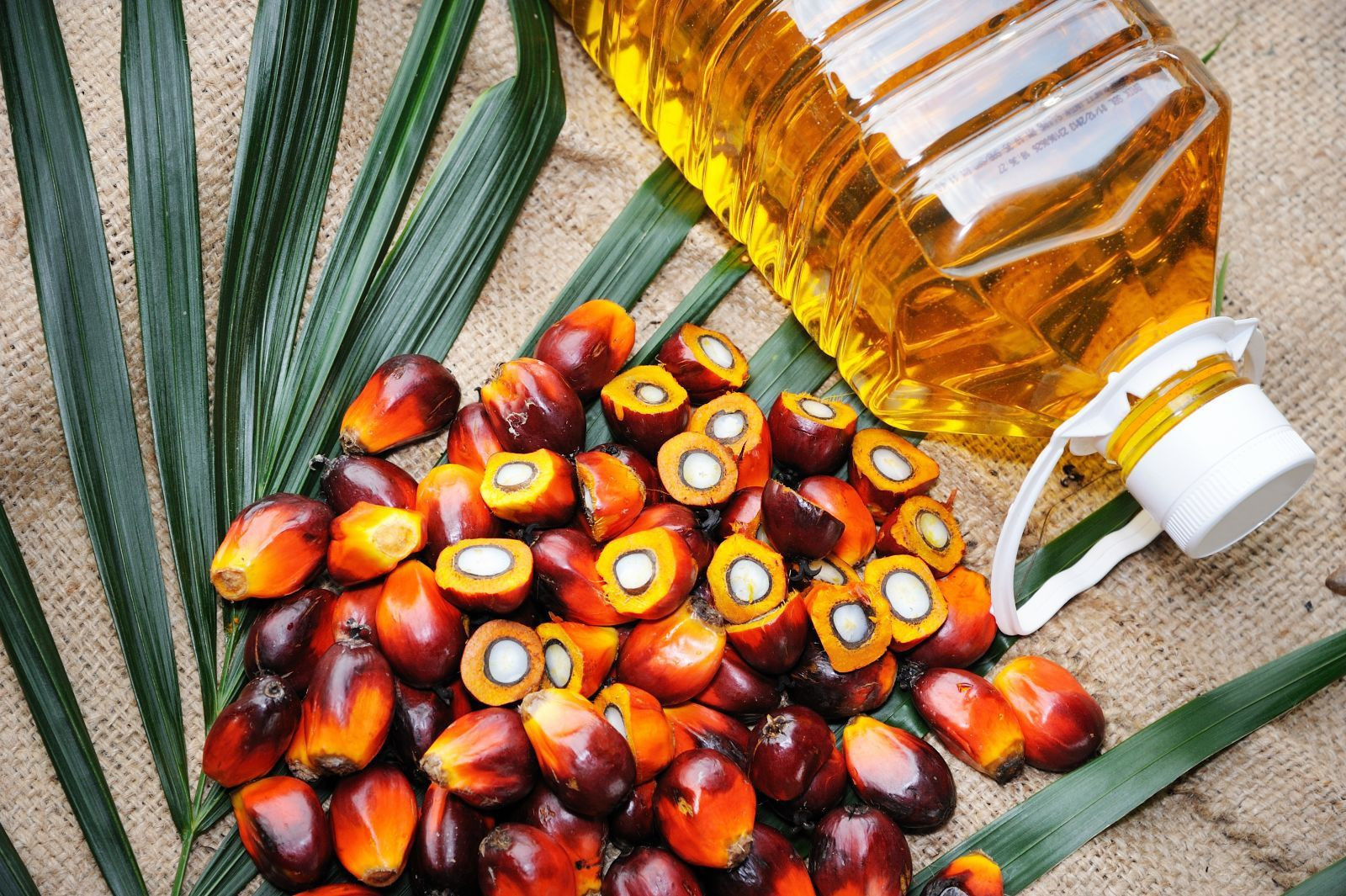 High-Quality Palm Oil from Kenya - Refined & Crude | Bulk Supply for Export