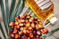 High-Quality Palm Oil from Kenya - Refined & Crude | Bulk Supply for Export