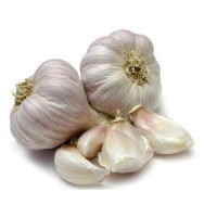 Clove Garlic for Sale | Premium Fresh Garlic Export from Kenya