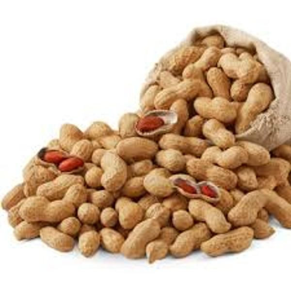 High-Quality Kenyan Peanuts / Groundnuts - Raw and Roasted | Bulk Export Available