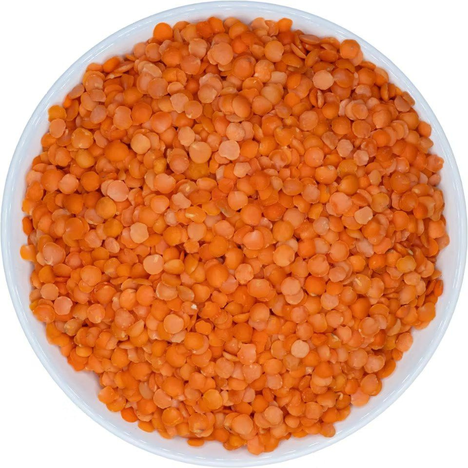 High-Quality Red Lentils | Whole & Split | Bulk Export