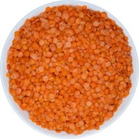 High-Quality Red Lentils | Whole & Split | Bulk Export