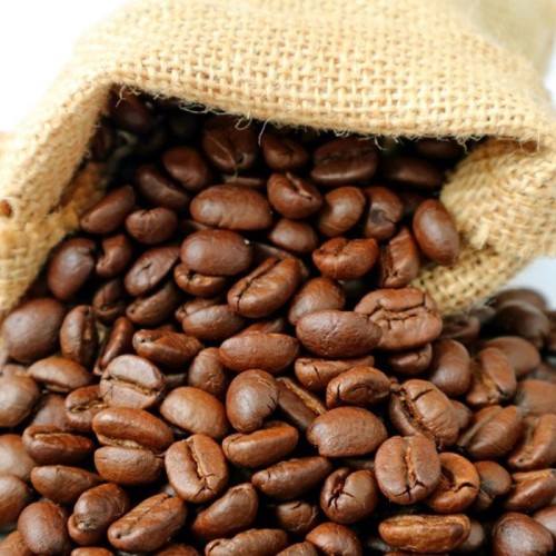 Premium Kenyan Robusta Coffee Beans | Bulk Export Supply