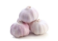 Fresco Ajo & Alho (Fresh Garlic) for Sale | Premium Quality from Kenya