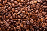 High-Quality Kenyan Arabica Coffee Beans for Export – Bulk Supply