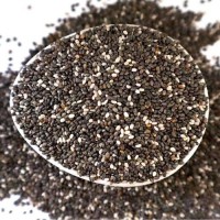 Premium Chia Seeds | High Omega-3 Superfood for Bulk Supply