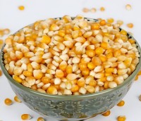 Yellow Corn / Yellow Maize | Premium Quality for Human & Animal Consumption
