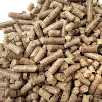Wood Pellets for Sale | Premium Biomass Fuel