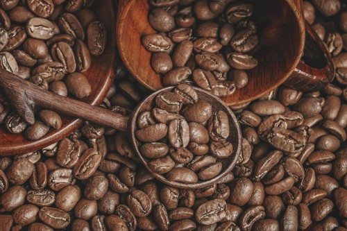 High-Quality Kenyan Arabica Coffee Beans for Export – Bulk Supply