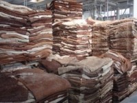 Donkey Hides for Sale | Processed & Preserved Hides from Kenya