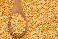 High-Quality Split Yellow Peas | Bulk Export | Clean & Sorted