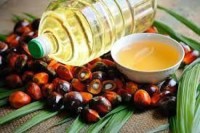 High-Quality Palm Oil from Kenya - Refined & Crude | Bulk Supply for Export
