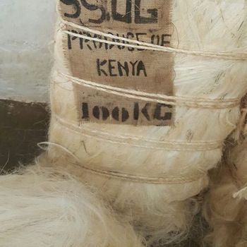 Premium Sisal Fiber - SSUG Grade | Direct Exports from Kenya