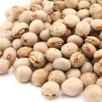 Export Quality Pigeon Peas | Whole & Split | Bulk Wholesale Supply