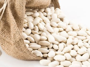 Premium White Pea Beans | High Protein | Bulk Export