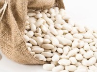 Premium White Pea Beans | High Protein | Bulk Export