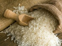 Premium Japonica Rice - Short Grain | Bulk Export Supply