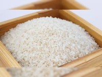Round Rice - Versatile Short-Grain Rice for Culinary Applications