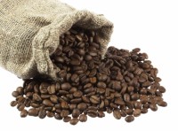Premium Arabica Coffee Beans | Direct Exports from Origin