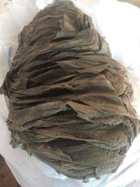 Dried Omasum for Sale | High-Quality Cleaned Cow Stomach from Kenya