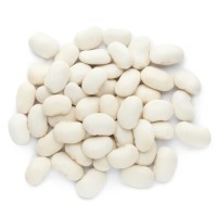 Premium White Pea Beans | High Protein | Bulk Export